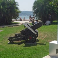 Cannon